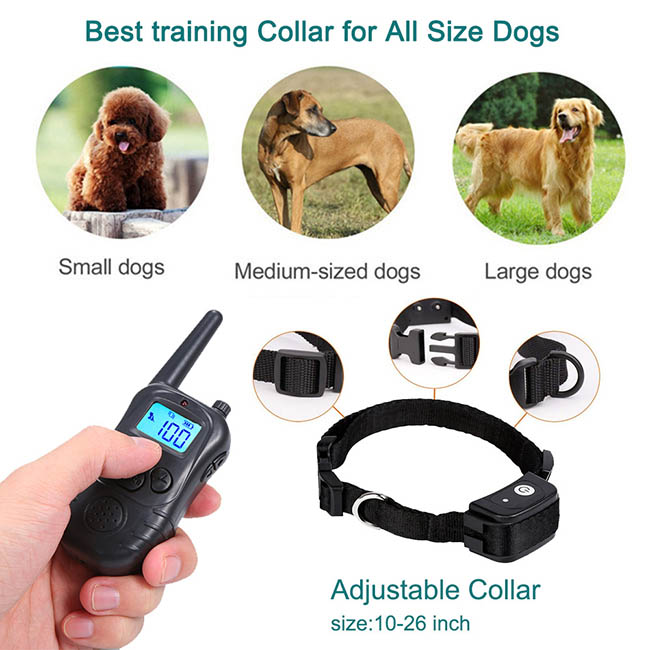 Meilleurs Collier dressage chien avec télécommande sans fil imperméable et rechargeable