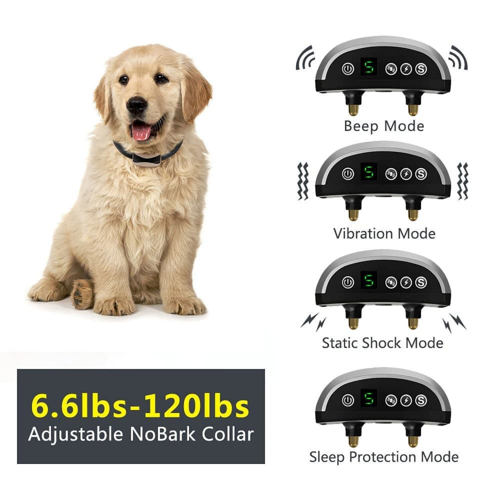 Automatique Anti-Aboiement pour Chien Collier de Dressage chien