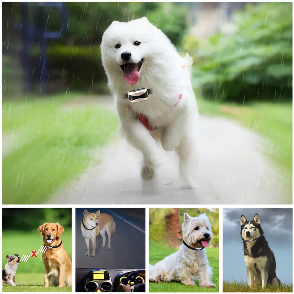 Automatique Anti-Aboiement pour Chien Collier de Dressage chien