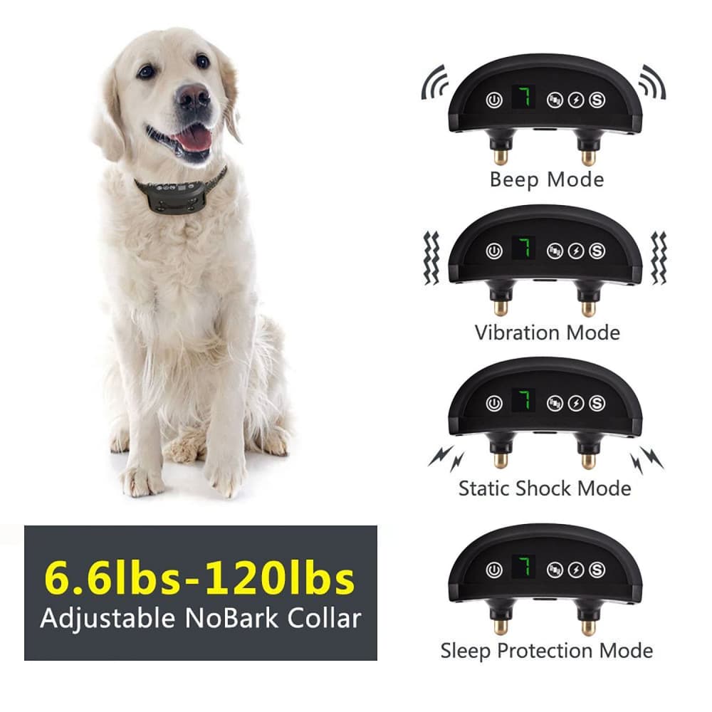 Automatique Anti-Aboiement pour Chien Collier de Dressage chien