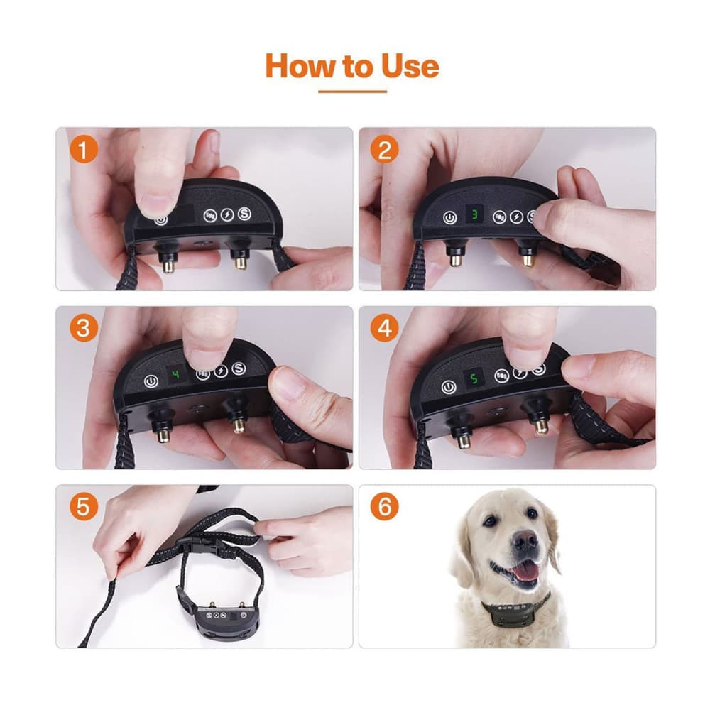 Automatique Anti-Aboiement pour Chien Collier de Dressage chien
