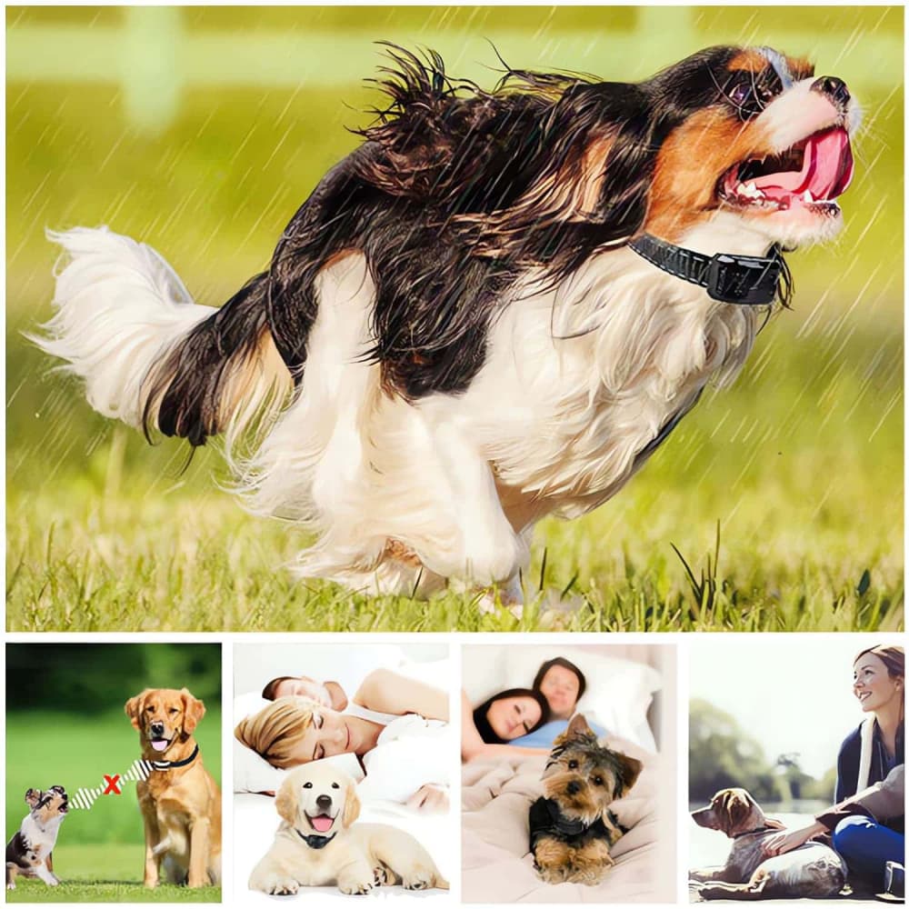 Automatique Anti-Aboiement pour Chien Collier de Dressage chien