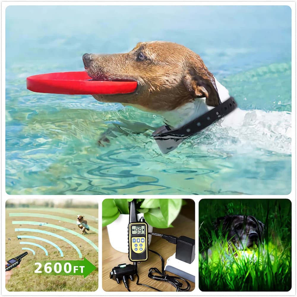 Collier de Dressage Anti-aboiement Etanche Rechargeable pour Chien