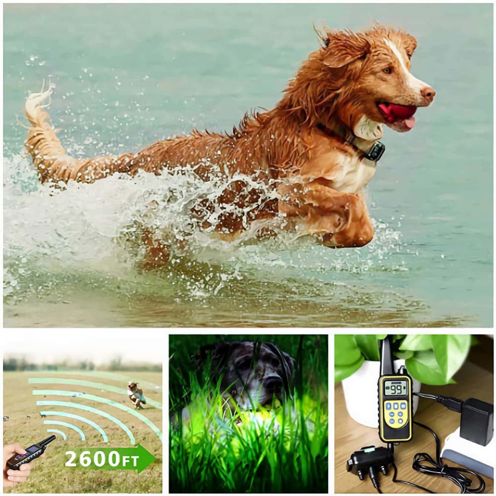 Collier de Dressage Anti-aboiement Etanche Rechargeable pour Chien