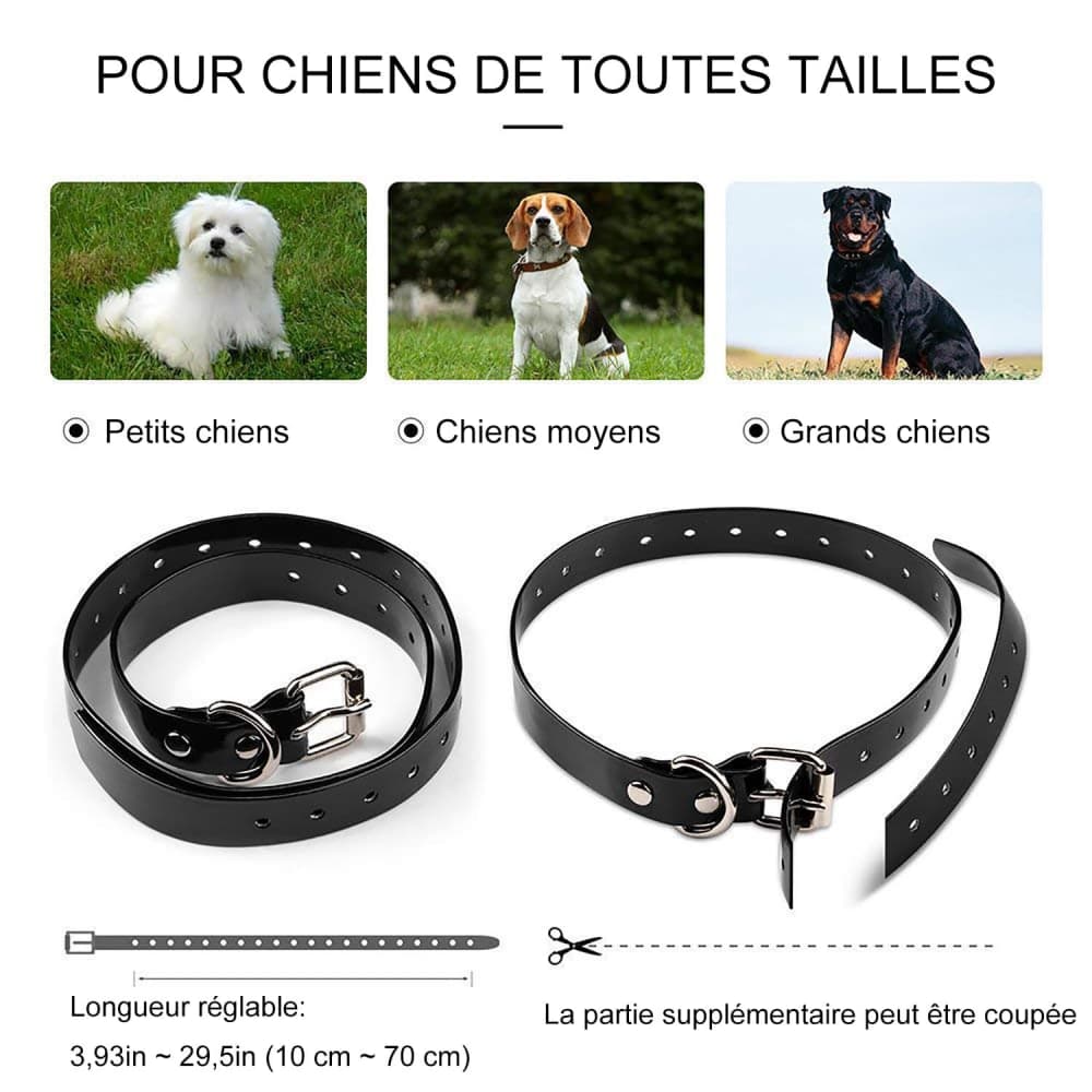 Collier de Dressage Anti-aboiement Etanche Rechargeable pour Chien