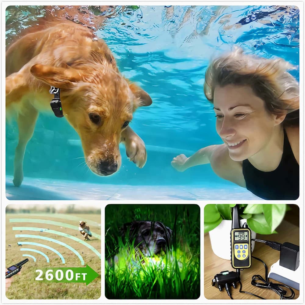 Collier de Dressage Anti-aboiement Etanche Rechargeable pour Chien