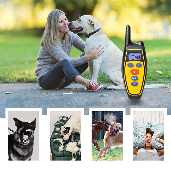 Collier de dressage pour chien 2 en 1 Contrôle automatique anti-aboiement avec télécommande rechargeable et étanche à la pluie