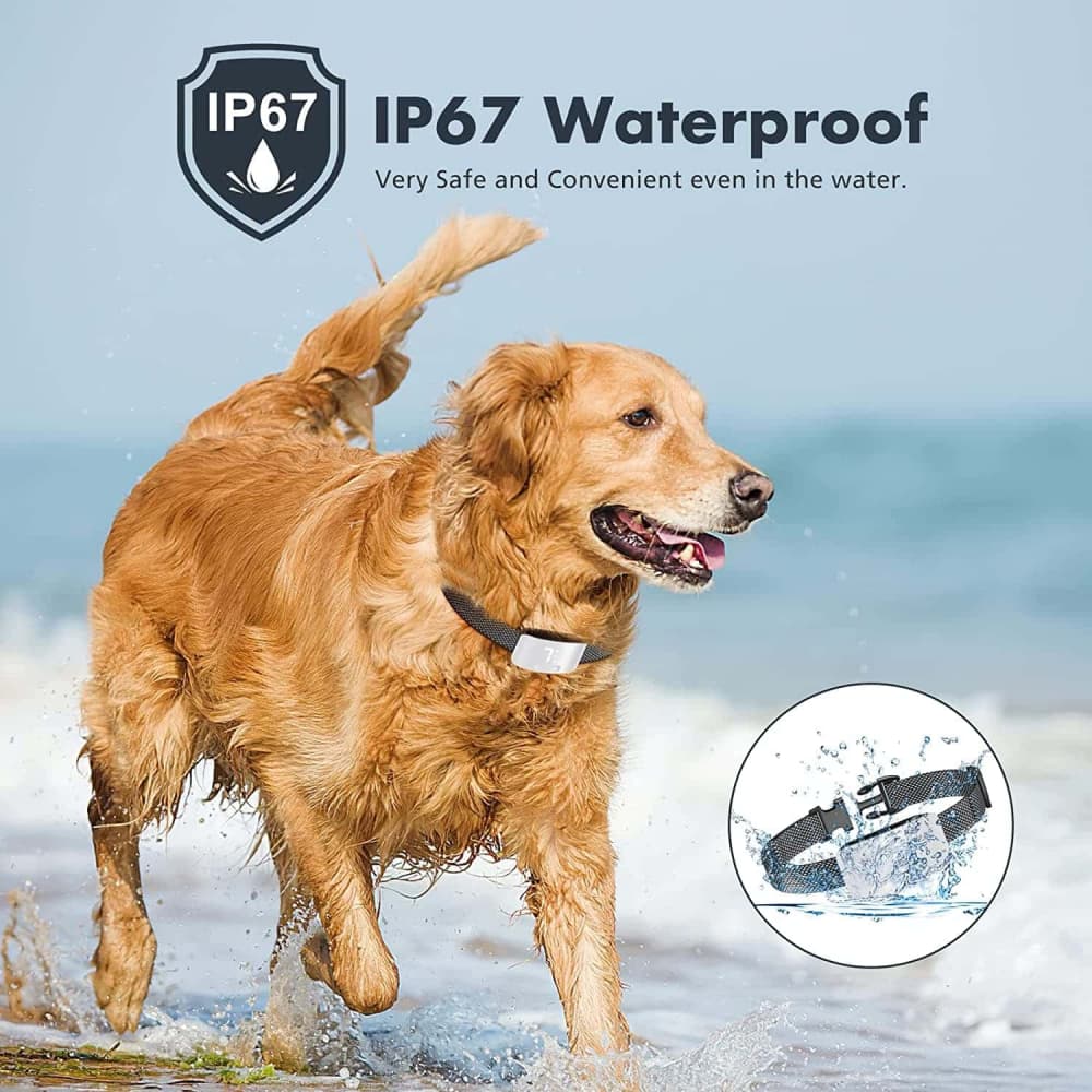 Automatique Anti-Aboiement pour Chien Collier de Dressage chien
