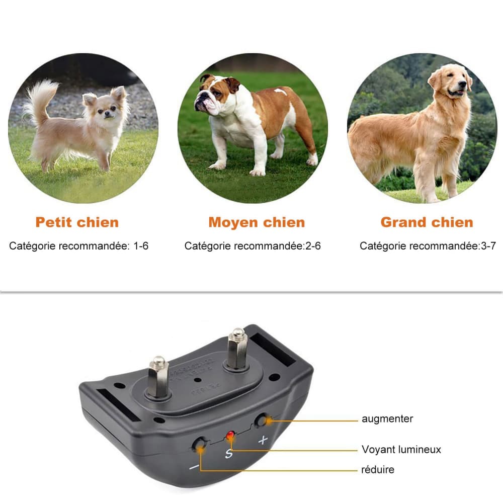 Automatique Anti-Aboiement pour Chien Collier de Dressage chien