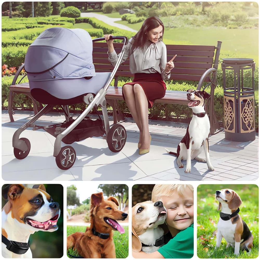 Automatique Anti-Aboiement pour Chien Collier de Dressage chien