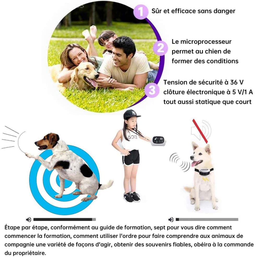 Clôture Anti Fugue Electronique sans fil pour Chien avec 3 colliers