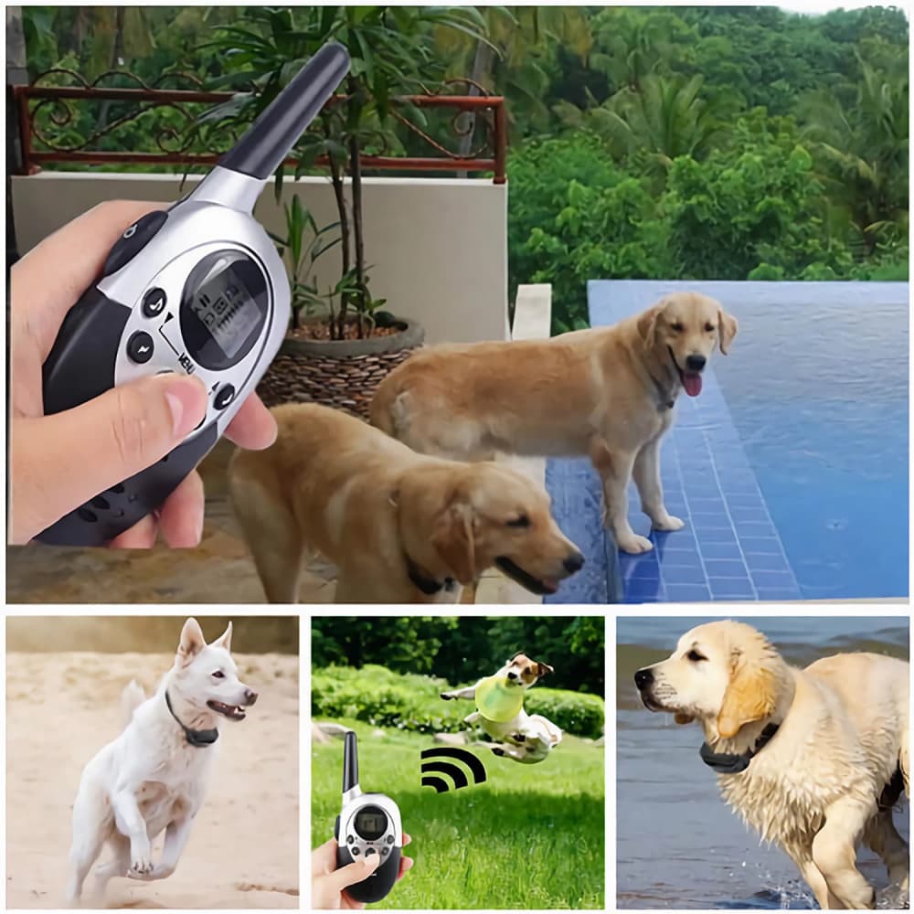 Collier de dressage chien électrique rechargeable étanche télécommandé sans fil à portée de 1000 mètres avec LCD écran