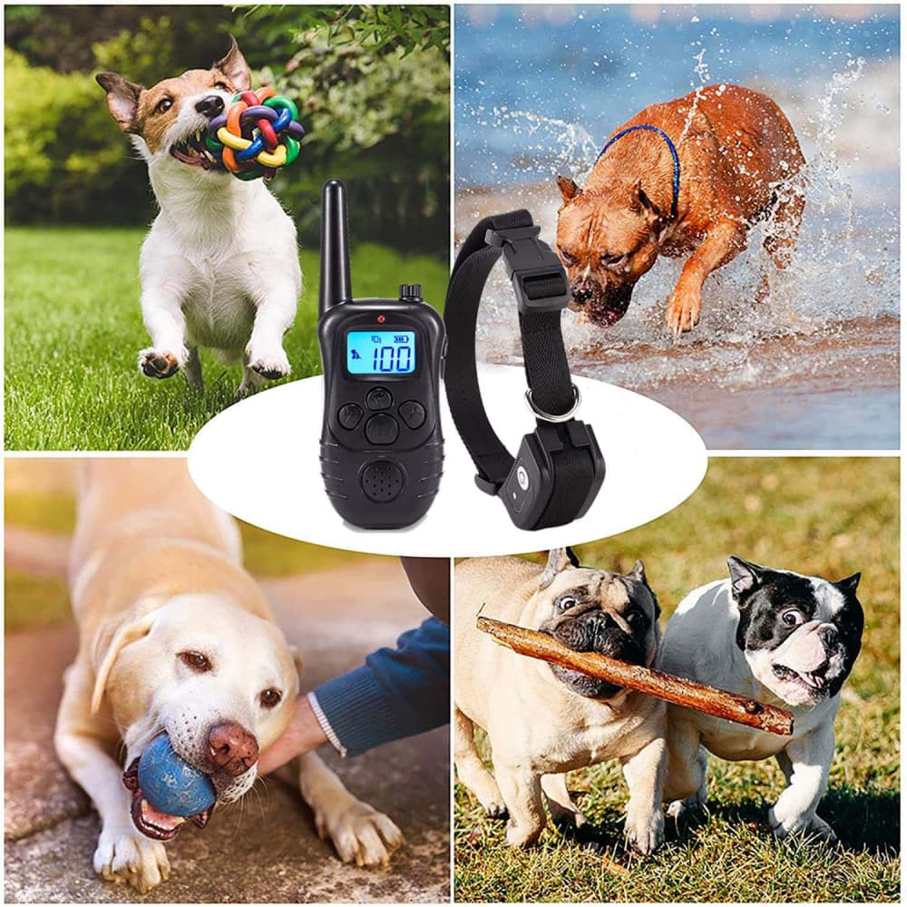 Meilleurs Collier dressage chien avec télécommande sans fil imperméable et rechargeable