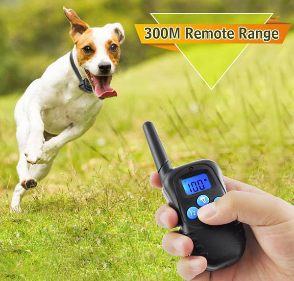 Collier de dressage pour chien avec télécommande LCD rechargeable